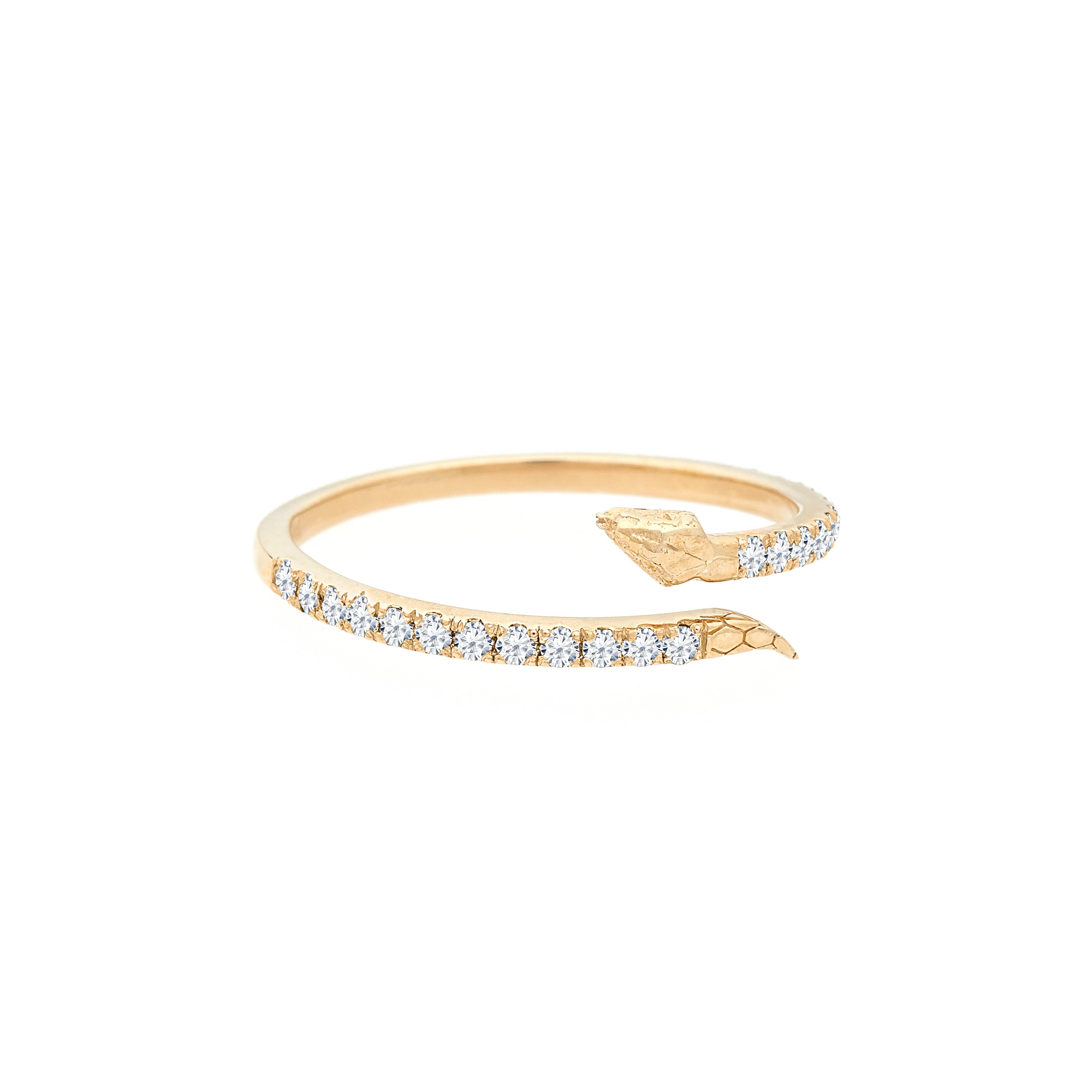 Enchanting Snake Band