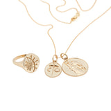 Gold Zodiac Medallions