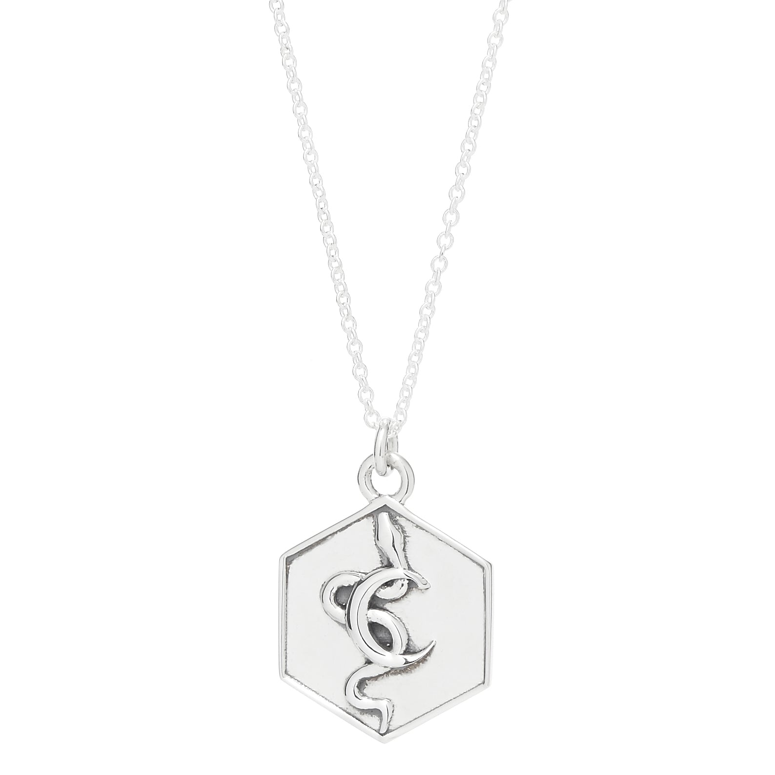 Snake Moon Hexagon Pendant